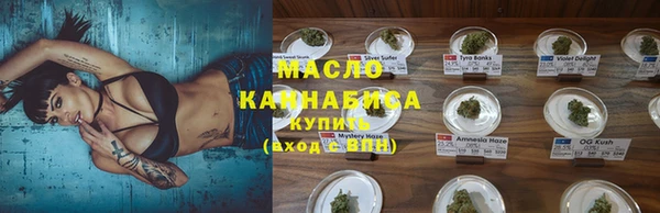 индика Киров