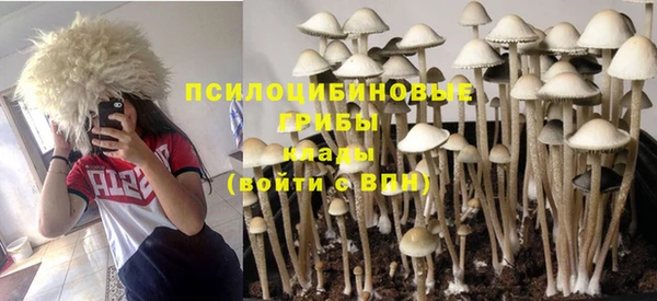 каннабис Ладушкин