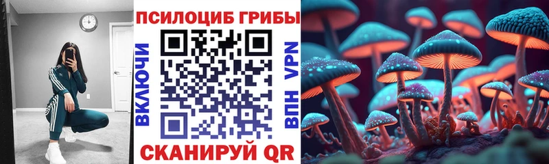 Купить где  Краснокаменск  Галлюциногенные грибы Psilocybine cubensis 